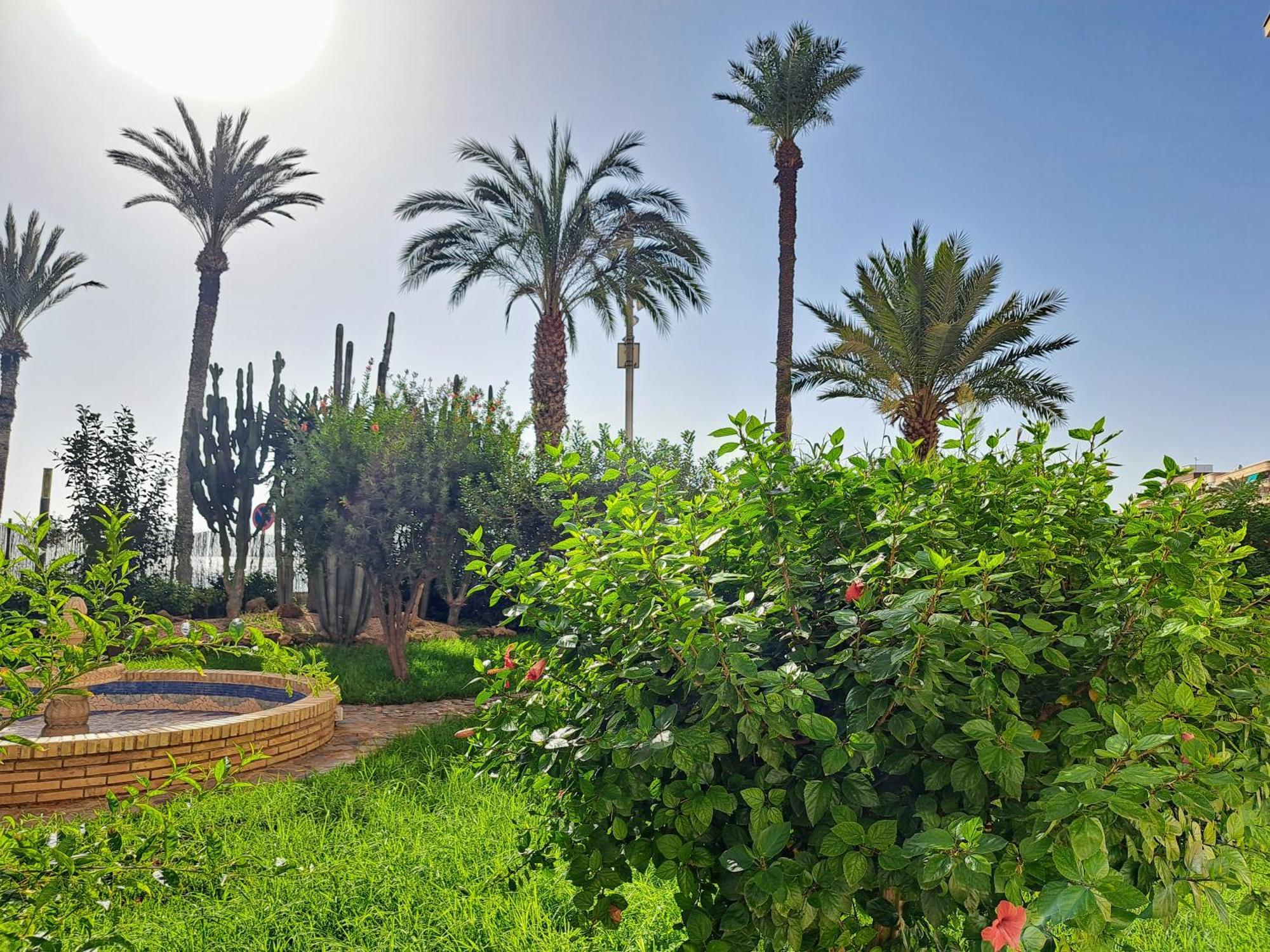 Garden Beach Apartment Torrevieja Exterior photo
